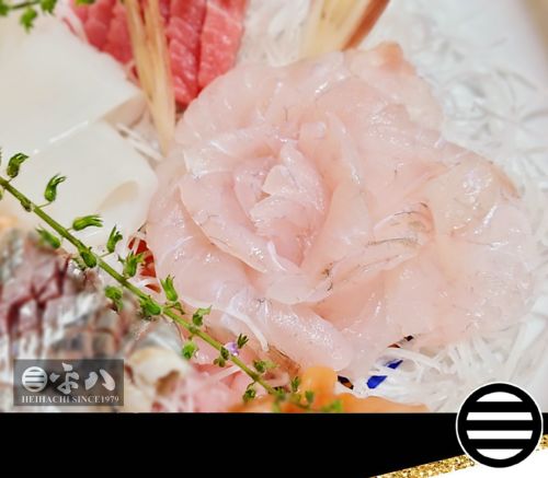 🥢 本日の一品…『活〆天然 ヒラメの刺身』
