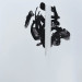 Messenger_creation_3843735B-18A6-4E13-8FCC-3A6C88B99E5C.jpeg