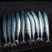DSCF0673.JPG