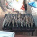 DSCF0674.JPG