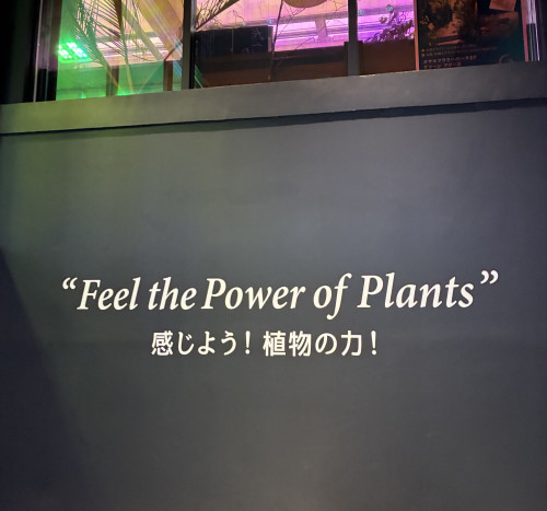 IMG_3617.jpeg