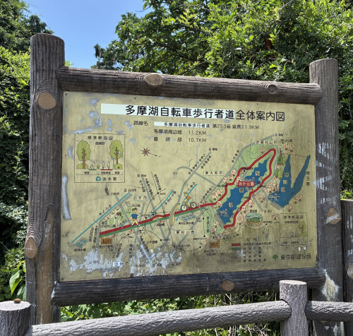 IMG_4252.jpeg