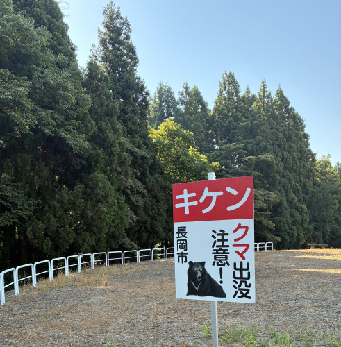 IMG_4846.jpeg