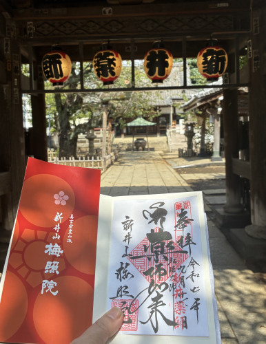 IMG_5696.jpeg