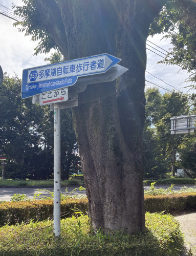 IMG_6161.jpeg