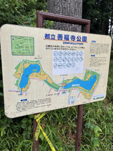 IMG_9637.jpeg