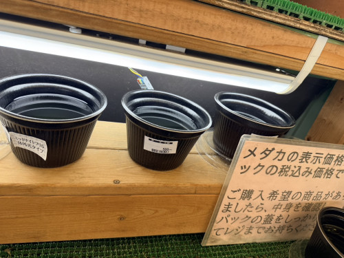 IMG_9701.jpeg