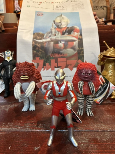 IMG_9704.jpeg