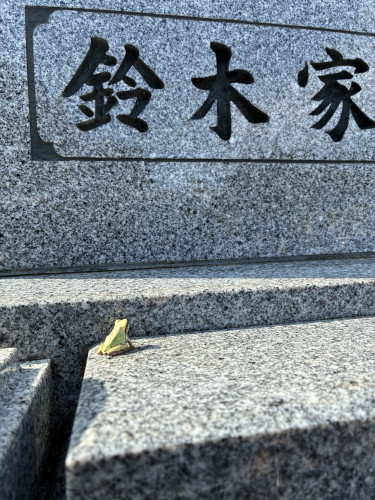 IMG_0324.jpeg