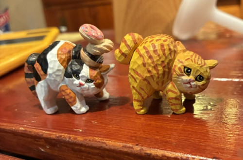 IMG_0456.jpeg