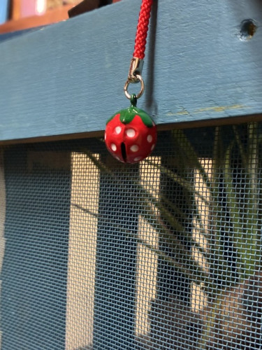 IMG_0718.jpeg