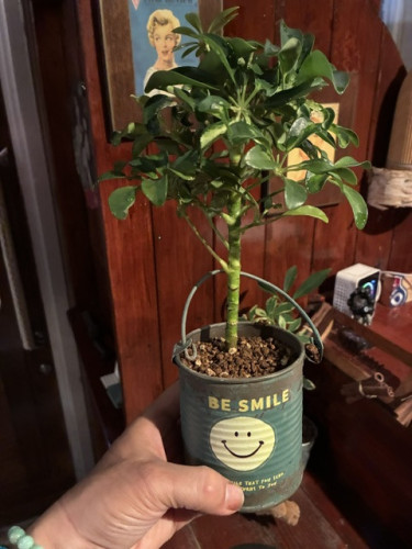 IMG_0720 (1).jpeg
