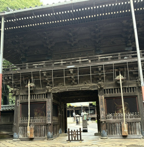 IMG_1053.jpeg