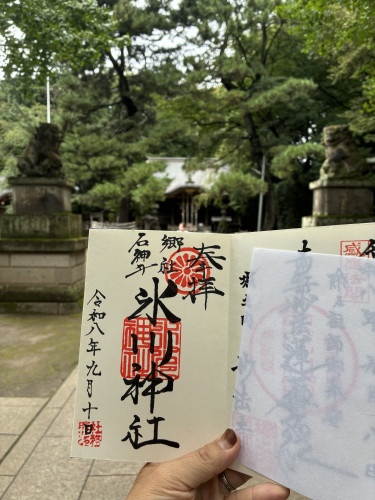 IMG_1158.jpeg