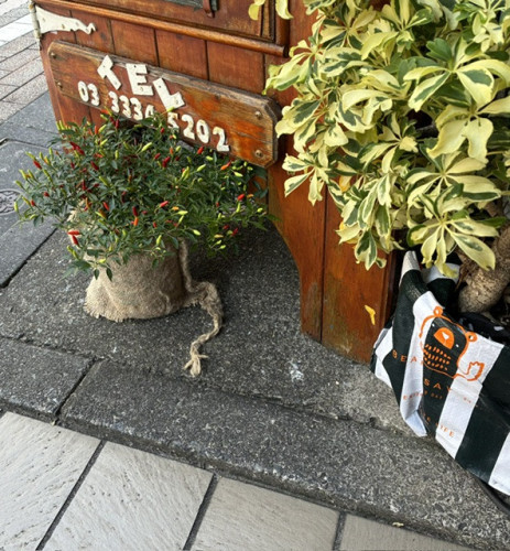 IMG_1795.jpeg