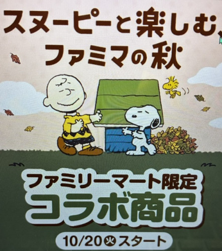 IMG_2244.jpeg