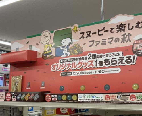 IMG_2247.jpeg