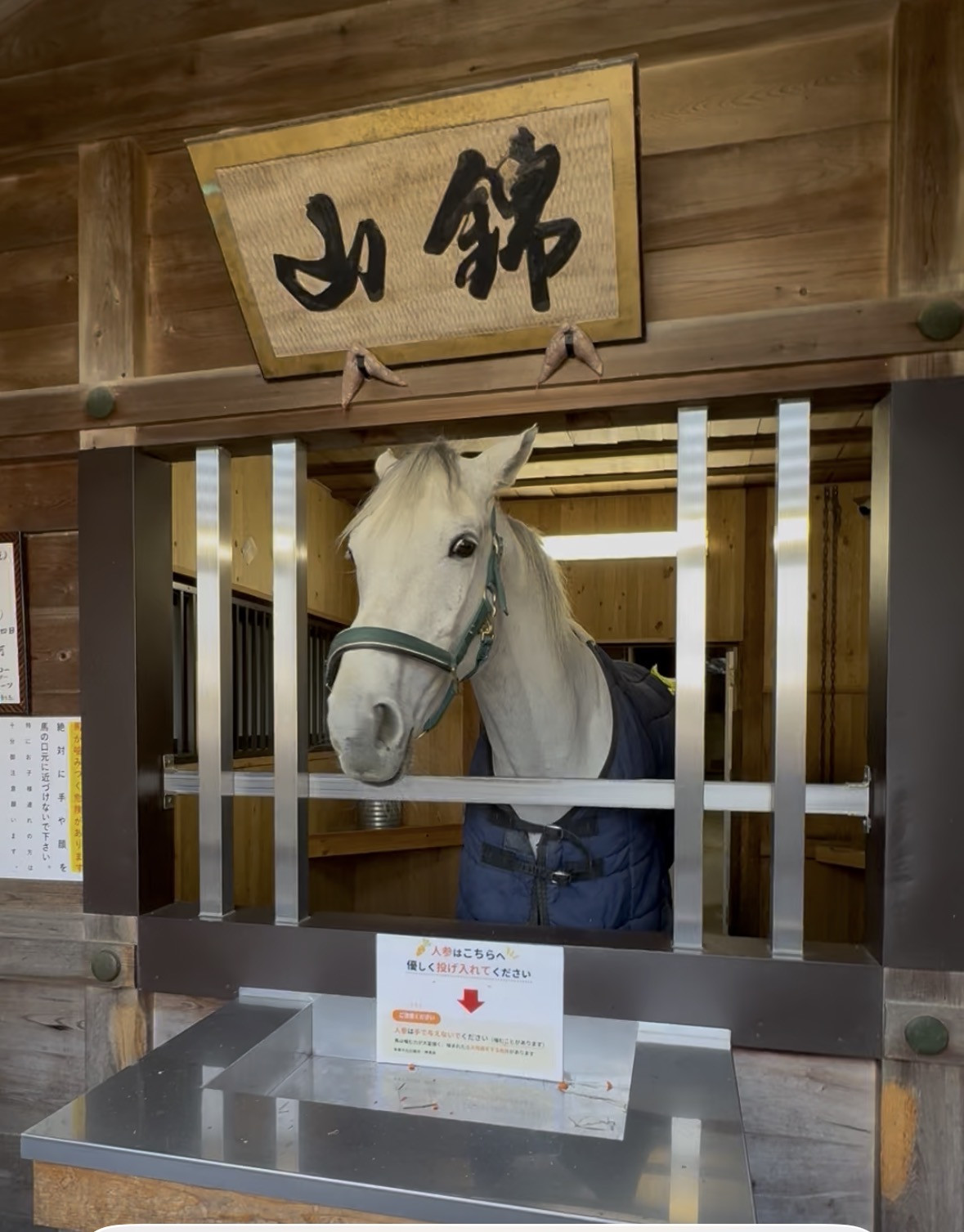 ２月の連休のお知らせ
