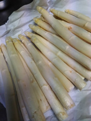 白アスパラのボイル出汁