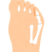 body_naihansyoushi.png