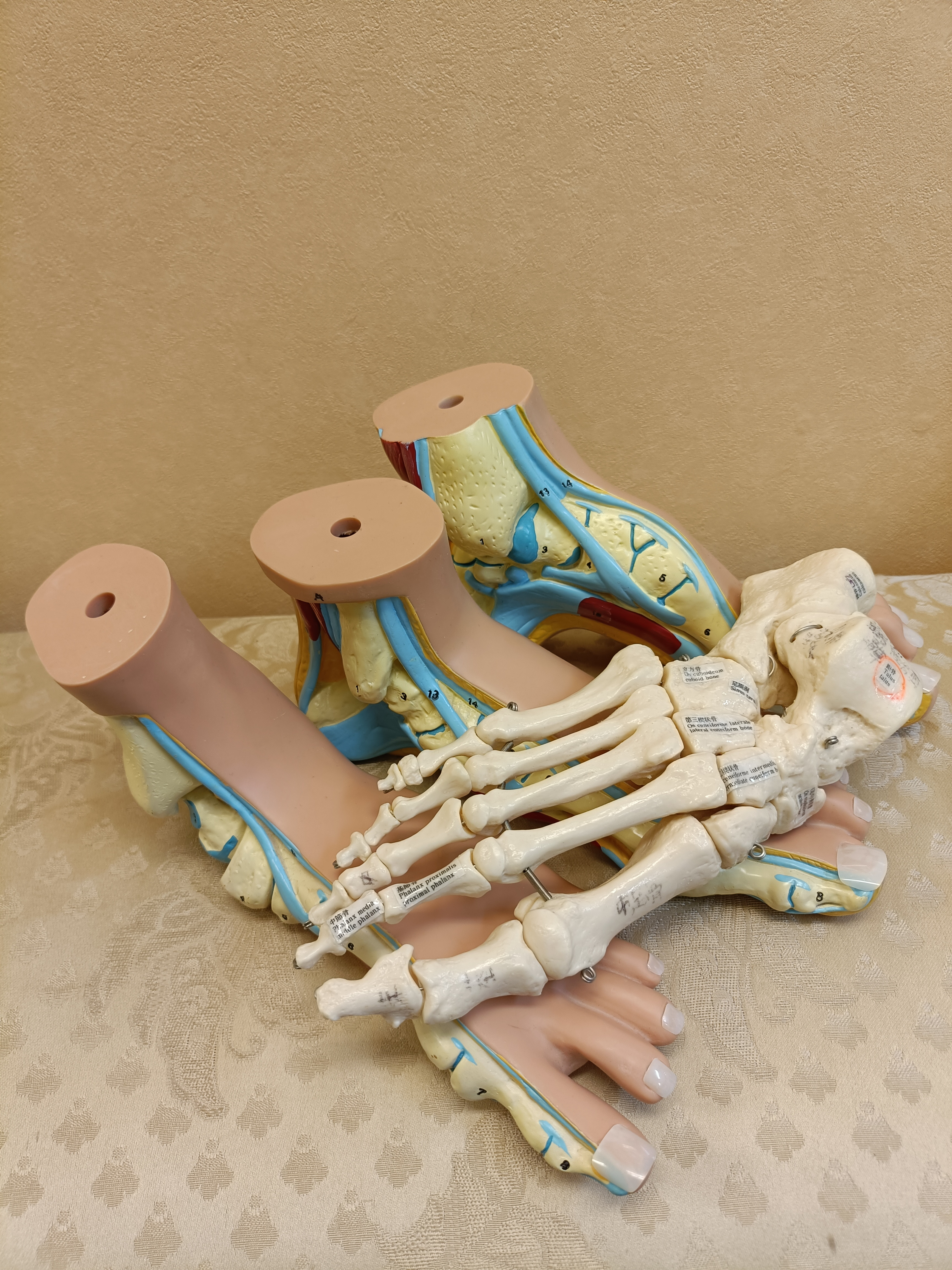 足に触れる仕事に、今年も誇りをもって 「一歩一歩を支える一年に」