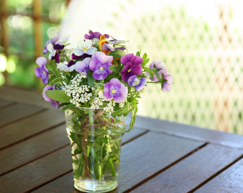 flower-gc41539a9a_1920.jpg
