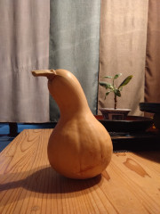 DSC_1724.JPG