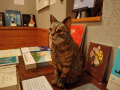 2025-10-20 16.46.05.jpg