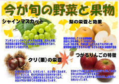 秋（2026-9月）A3.jpg
