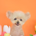 A949E150-90DC-4A09-AC6E-9FA1F6A1FD33.jpeg