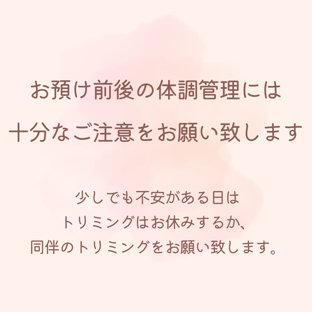 Watercolor pink inspirational quote Instagram post.png