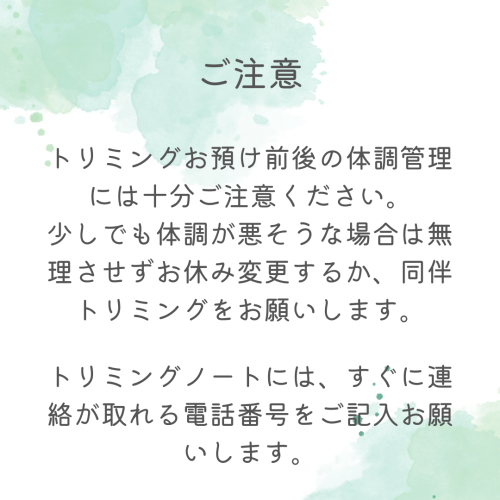 Green & White Watercolor Painted Self-Care Quote Instagram Post.png