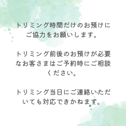 Green & White Watercolor Painted Self-Care Quote Instagram Post.png