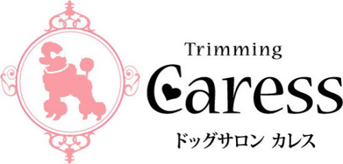 ドッグサロンカレス/新潟県燕市のトリミングサロン/小型犬専門店/可愛いトイプードル