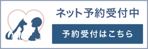 ヒロ動物病院 金沢市 がん 腫瘍 皮膚疾患 外科疾患