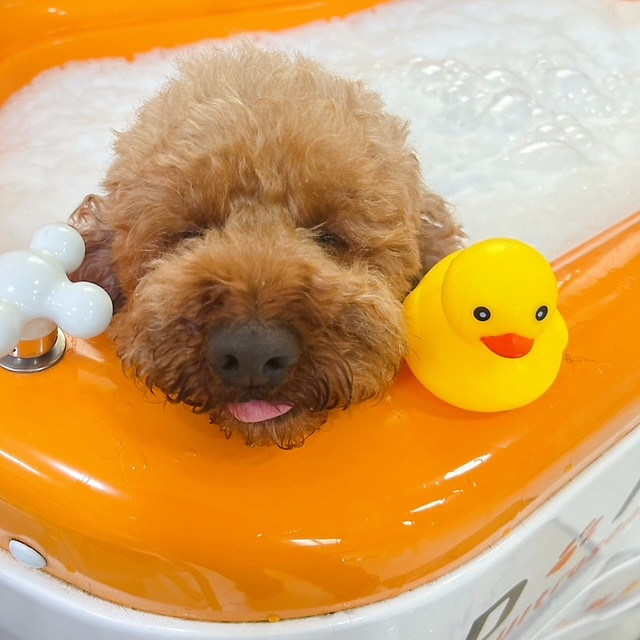 バブル気持ち良い