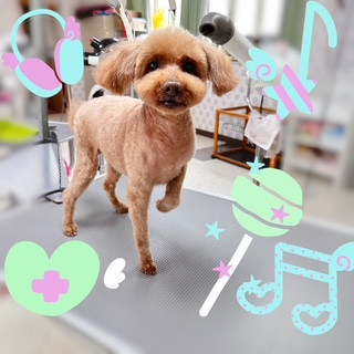 照片 2026-8-2 16 49 28.jpg