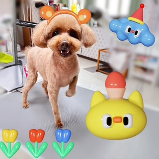 照片 2026-8-2 16 50 59.jpg