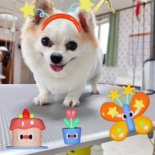 照片 2026-8-2 19 47 14.jpg