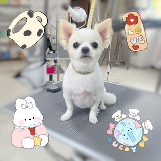 照片 2026-8-3 18 17 23 (1).jpg