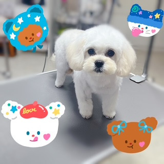 照片 2026-8-3 18 17 23.jpg