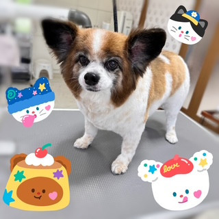 照片 2026-8-4 20 30 46.jpg
