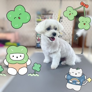 照片 2026-8-4 21 11 49 (2).jpg