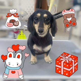 照片 2026-8-4 21 11 49.jpg