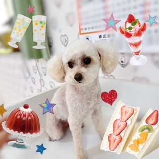 照片 2026-8-5 12 35 35.jpg