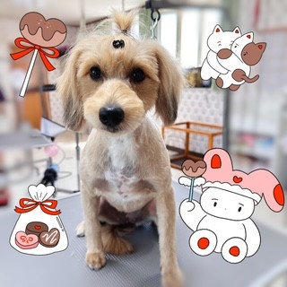 照片 2026-8-5 12 37 20.jpg