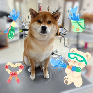 照片 2026-8-6 14 16 49.jpg