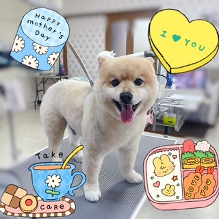 照片 2026-8-7 12 44 59.jpg