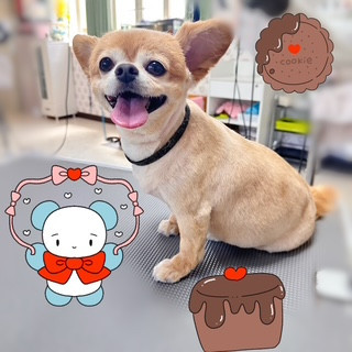 照片 2026-8-8 20 46 54.jpg