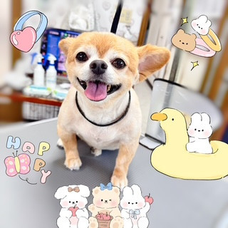 照片 2026-8-8 20 48 15.jpg